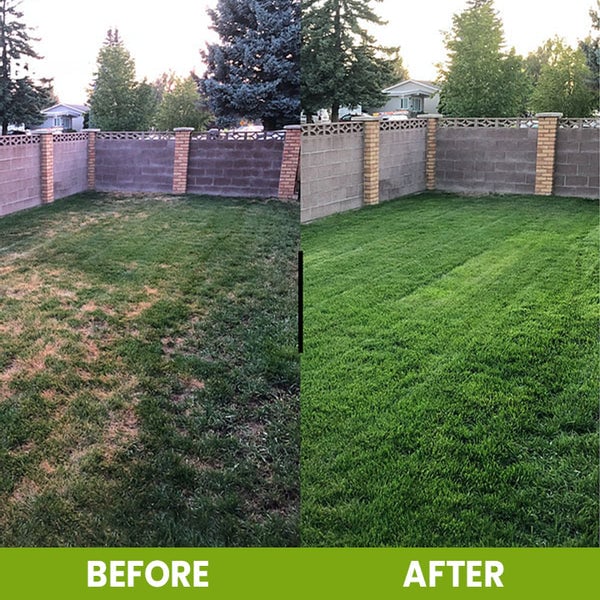 🌳 The Ultimate Soil Conditioner—Revitalize Your Garden Soil