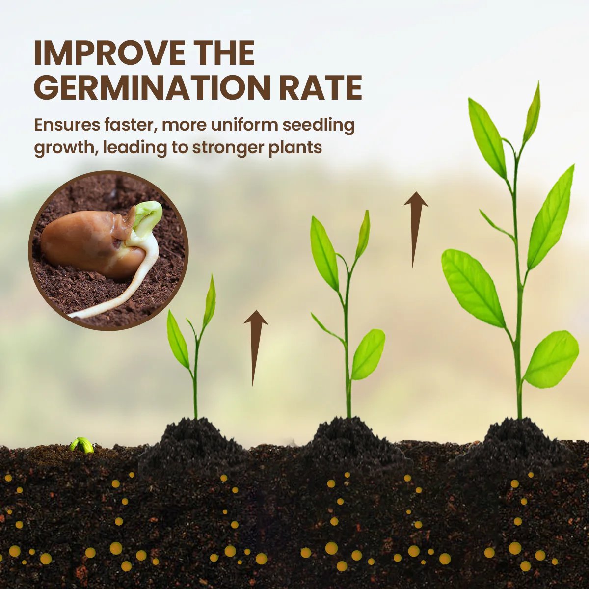 🌳 The Ultimate Soil Conditioner—Revitalize Your Garden Soil