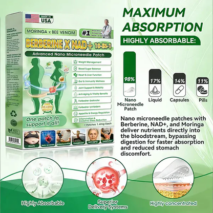 Berberine Moringa Nano Microneedle Wellness Patch🟢
