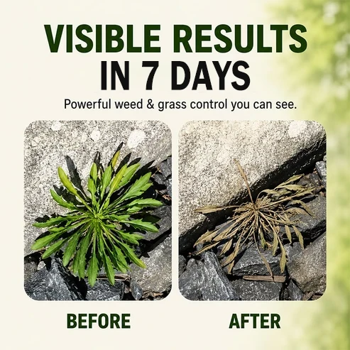 🔥Fast-Acting Natural Weed & Grass Killer Spray🌿