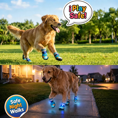 LED Light Integrated Pet Dog Shoes🐾