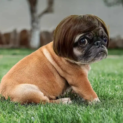 Cute Short-Hair Wig Pet Headband, Funny Pet Wig Hair Accessories for Dogs and Cats 🐶