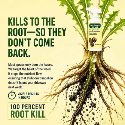 🔥Fast-Acting Natural Weed & Grass Killer Spray🌿