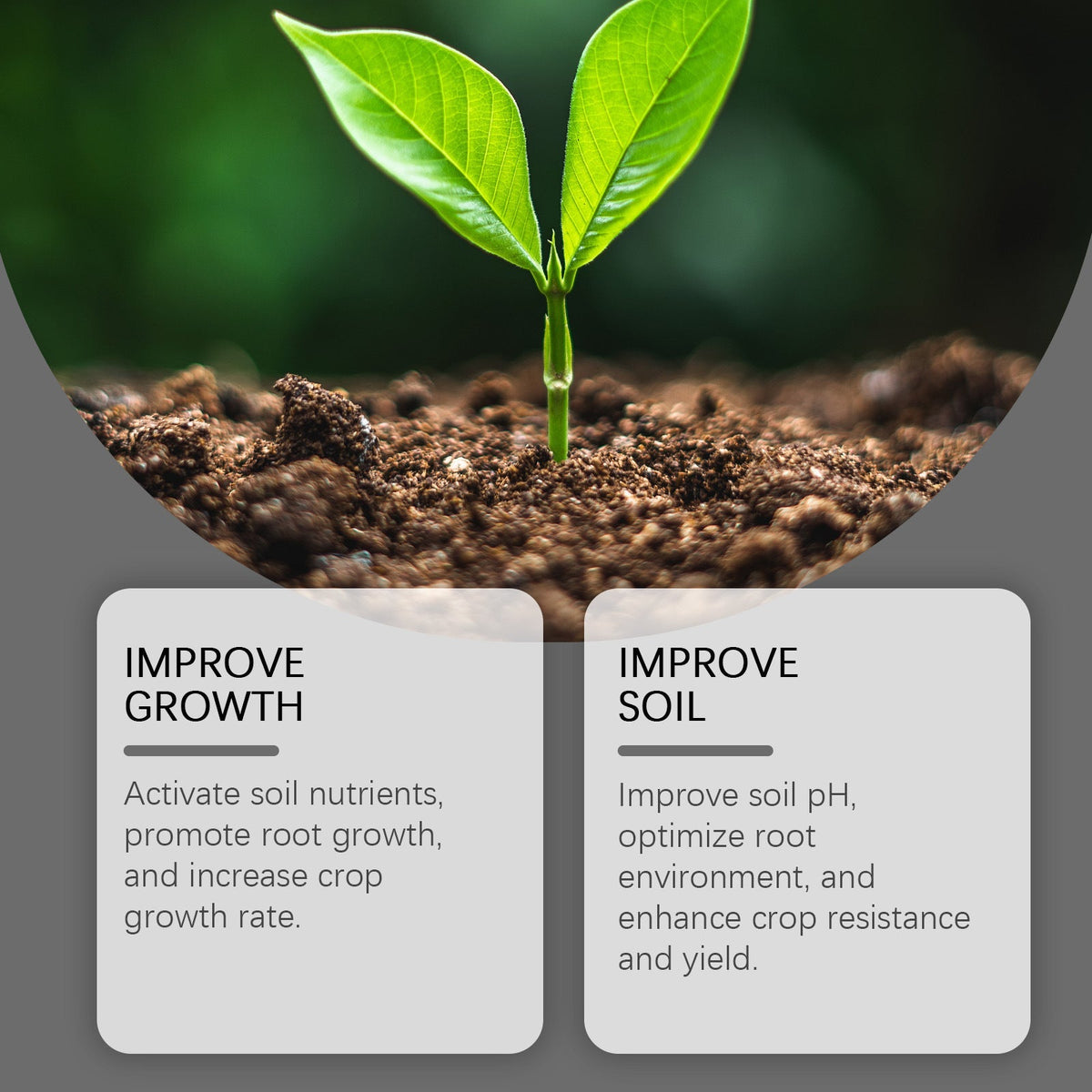 Humic Acid Soil Conditioner Concentrated Formula For Garden Lawn🌿