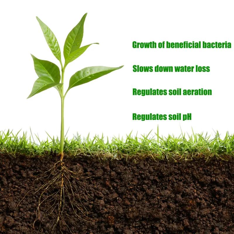Humic Acid Soil Conditioner Concentrated Formula For Garden Lawn🌿