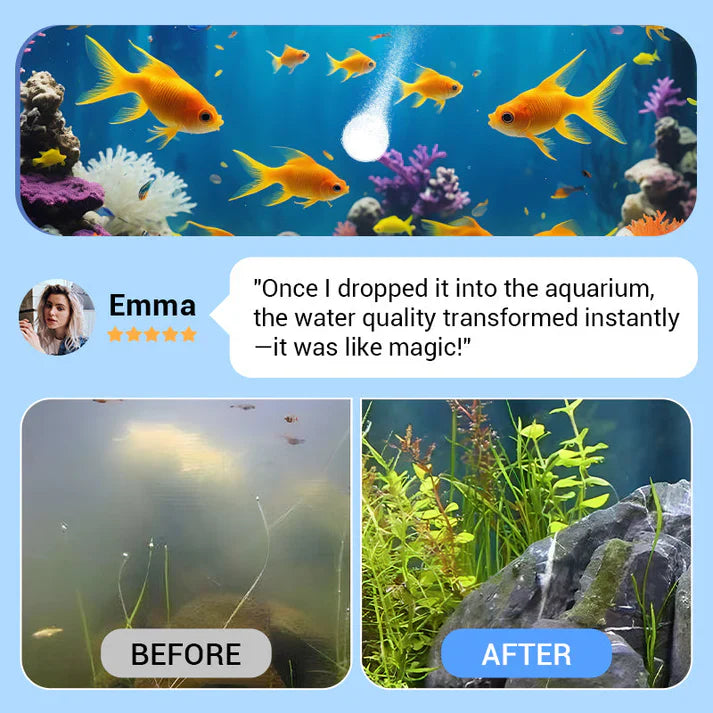 Aquarium Water Purification Tablets | Clear Cloudy Water Safely 🐠