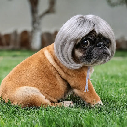 Cute Short-Hair Wig Pet Headband, Funny Pet Wig Hair Accessories for Dogs and Cats 🐶