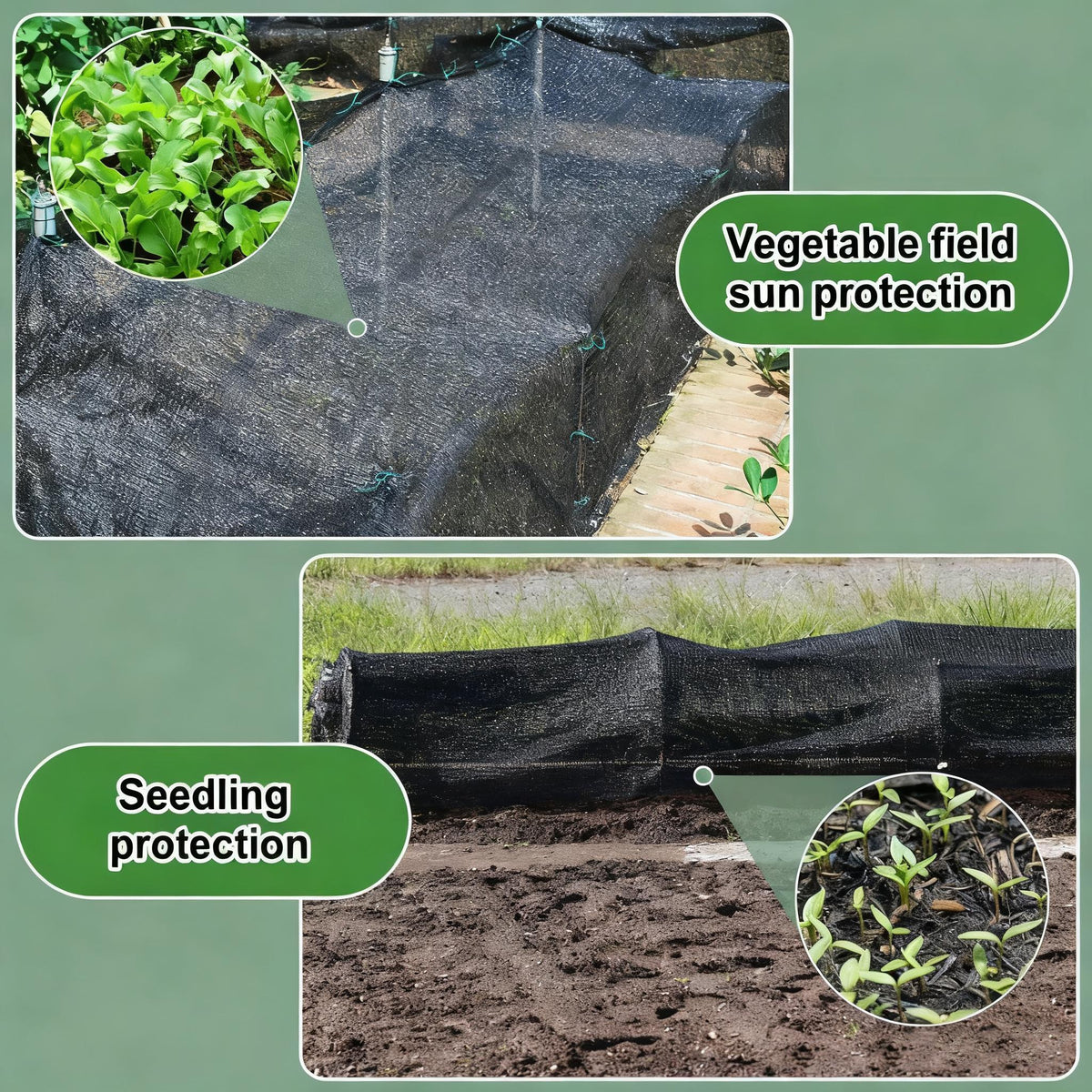 Black UV Resistant Sun Shade Net for Garden & Backyard🌳