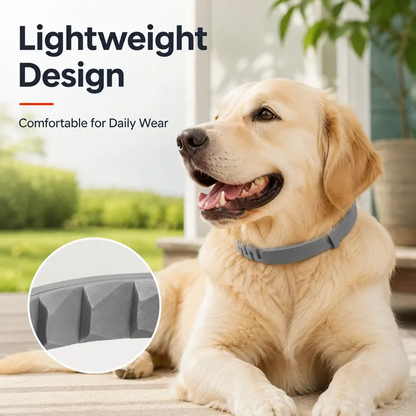 Adjustable dog collar with a fresh scent,Perfect for everyday outdoor use 🐾🌿