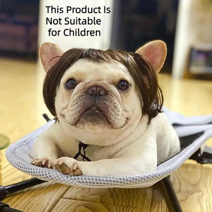 Cute Short-Hair Wig Pet Headband, Funny Pet Wig Hair Accessories for Dogs and Cats 🐶