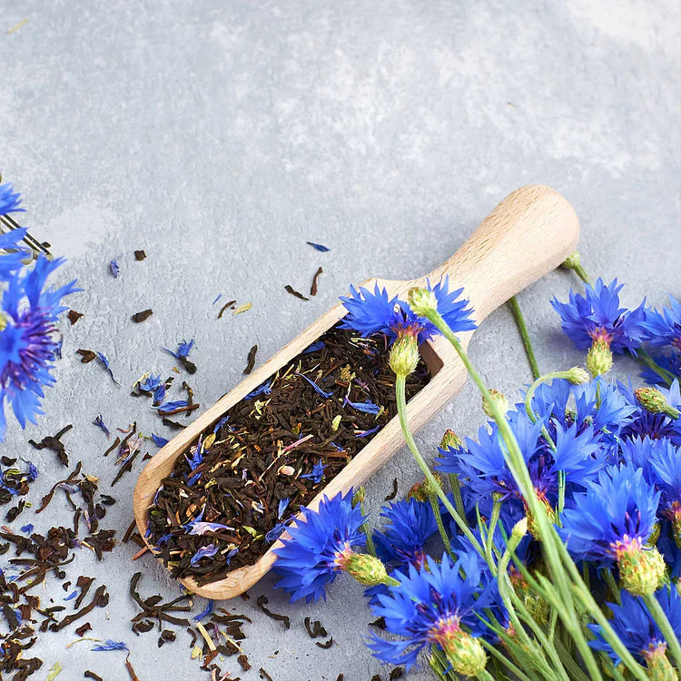 Perennial Mixed Cornflower Seeds🌸