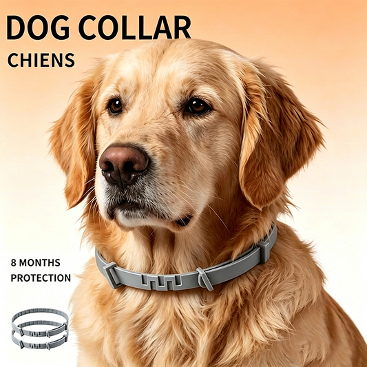 Adjustable dog collar with a fresh scent,Perfect for everyday outdoor use 🐾🌿