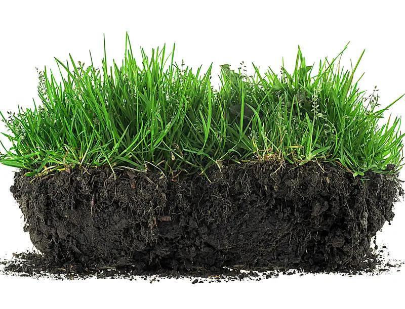 Humic Acid Soil Conditioner Concentrated Formula For Garden Lawn🌿