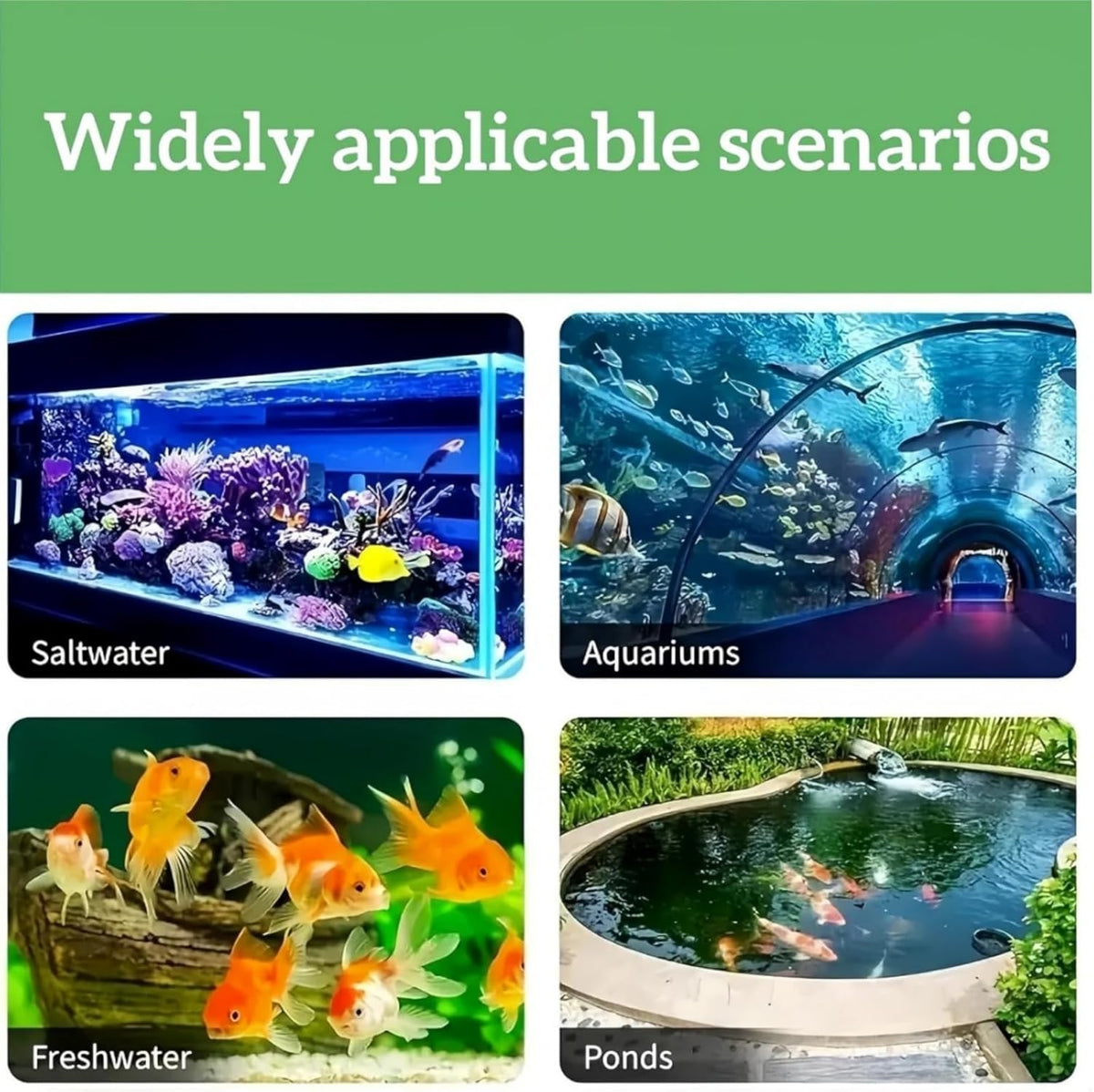 Aquarium Water Purification Tablets | Clear Cloudy Water Safely 🐠