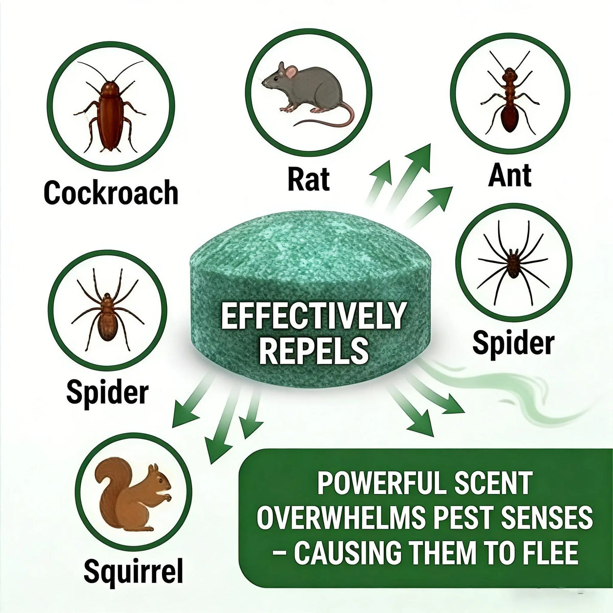 12-pack of natural insect repellents, suitable for fishing gear and garages