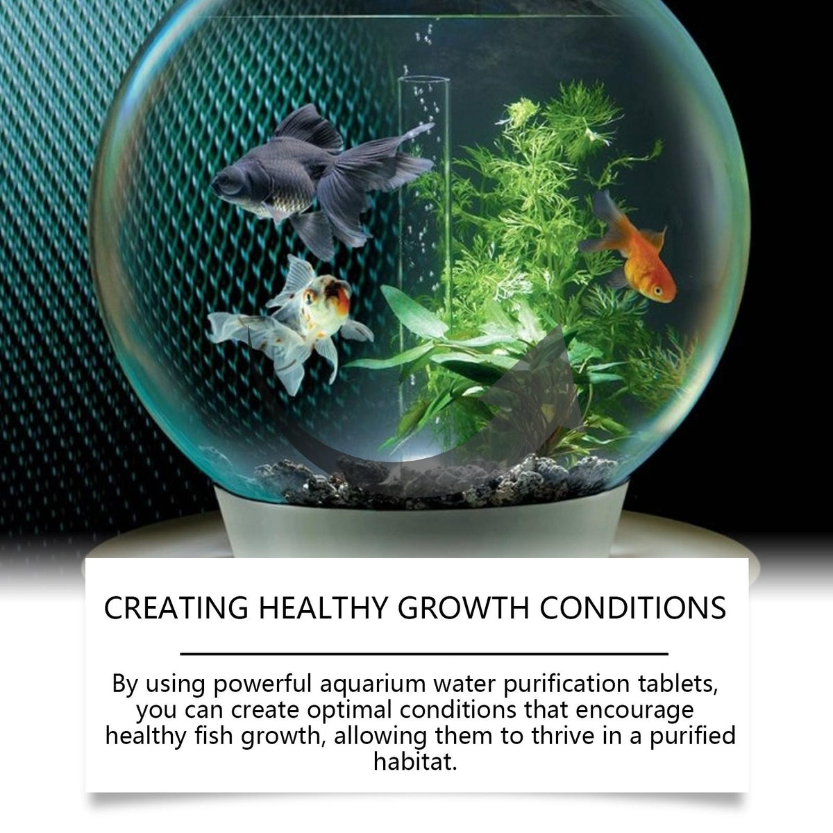 Aquarium Water Purification Tablets | Clear Cloudy Water Safely 🐠
