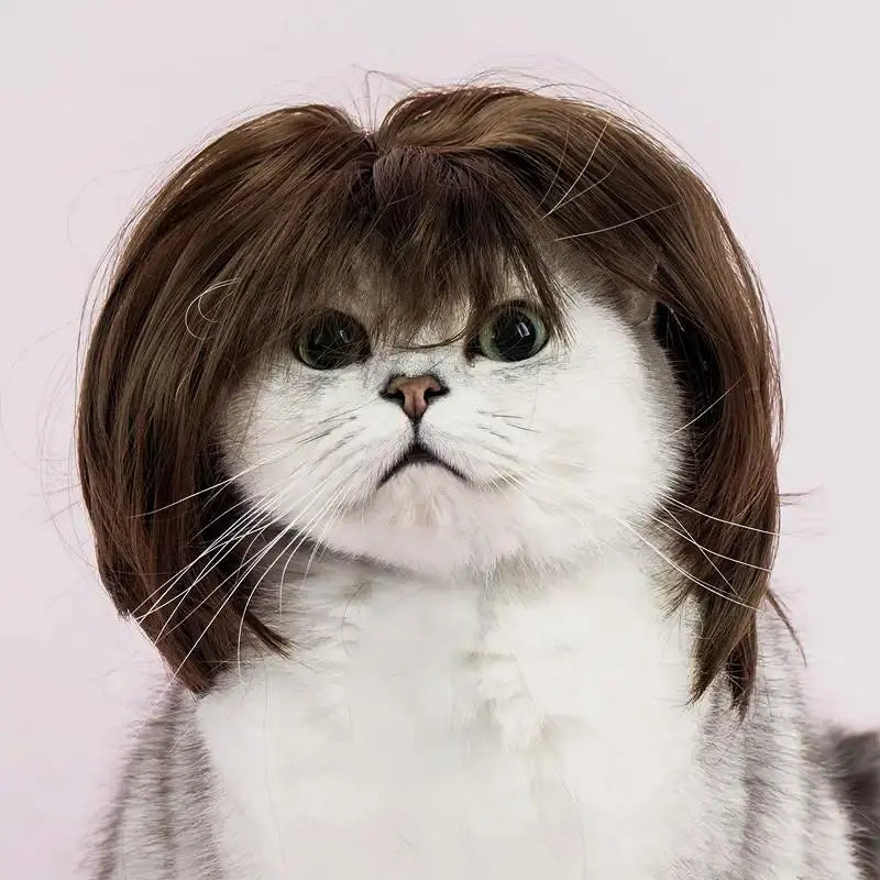 Cute Short-Hair Wig Pet Headband, Funny Pet Wig Hair Accessories for Dogs and Cats 🐶