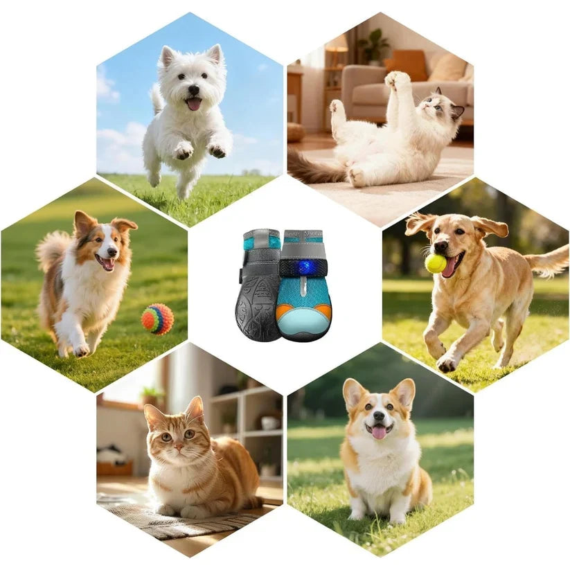 LED Light Integrated Pet Dog Shoes🐾
