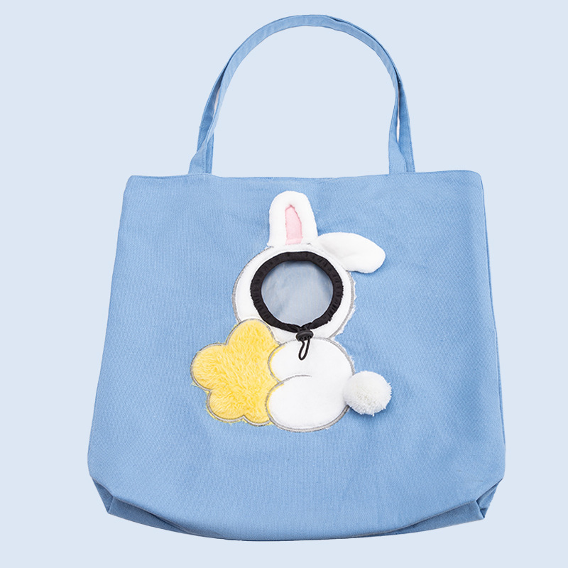 The CarryPaws Pet Carrier🛍️