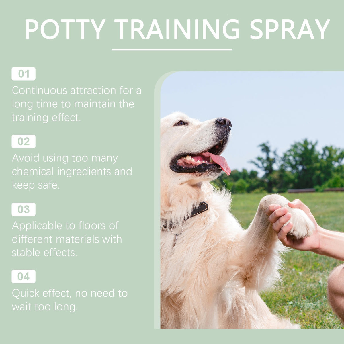 Pet Potty Training Spray for Dogs & Cats🐈