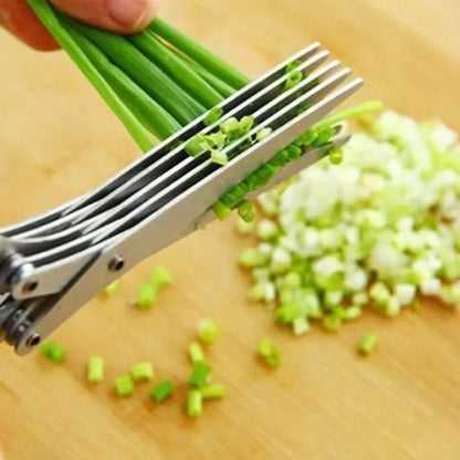 Stainless Steel 5 Blades Scallion Cutter Scissors✂️