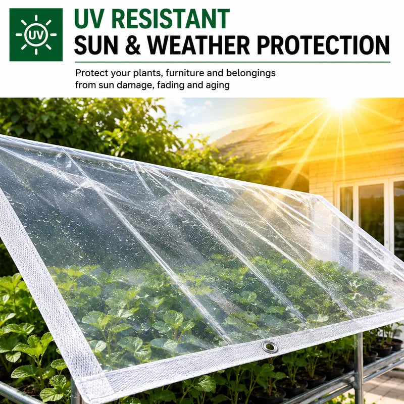Clear tarp allowing sunlight into a garden greenhouse