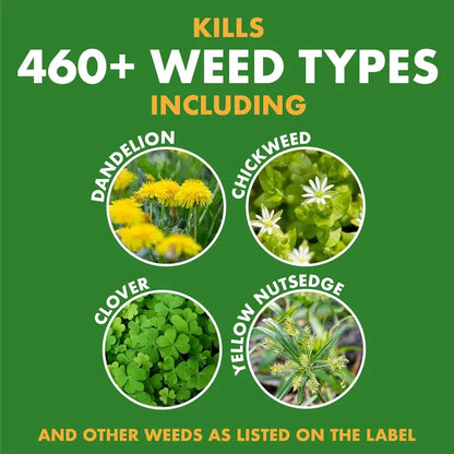 🔥Fast-Acting Natural Weed & Grass Killer Spray🌿