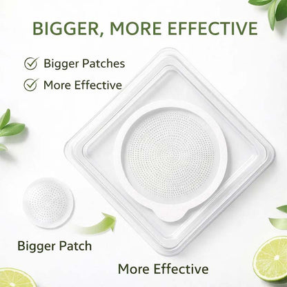 Berberine Moringa Nano Microneedle Wellness Patch🟢
