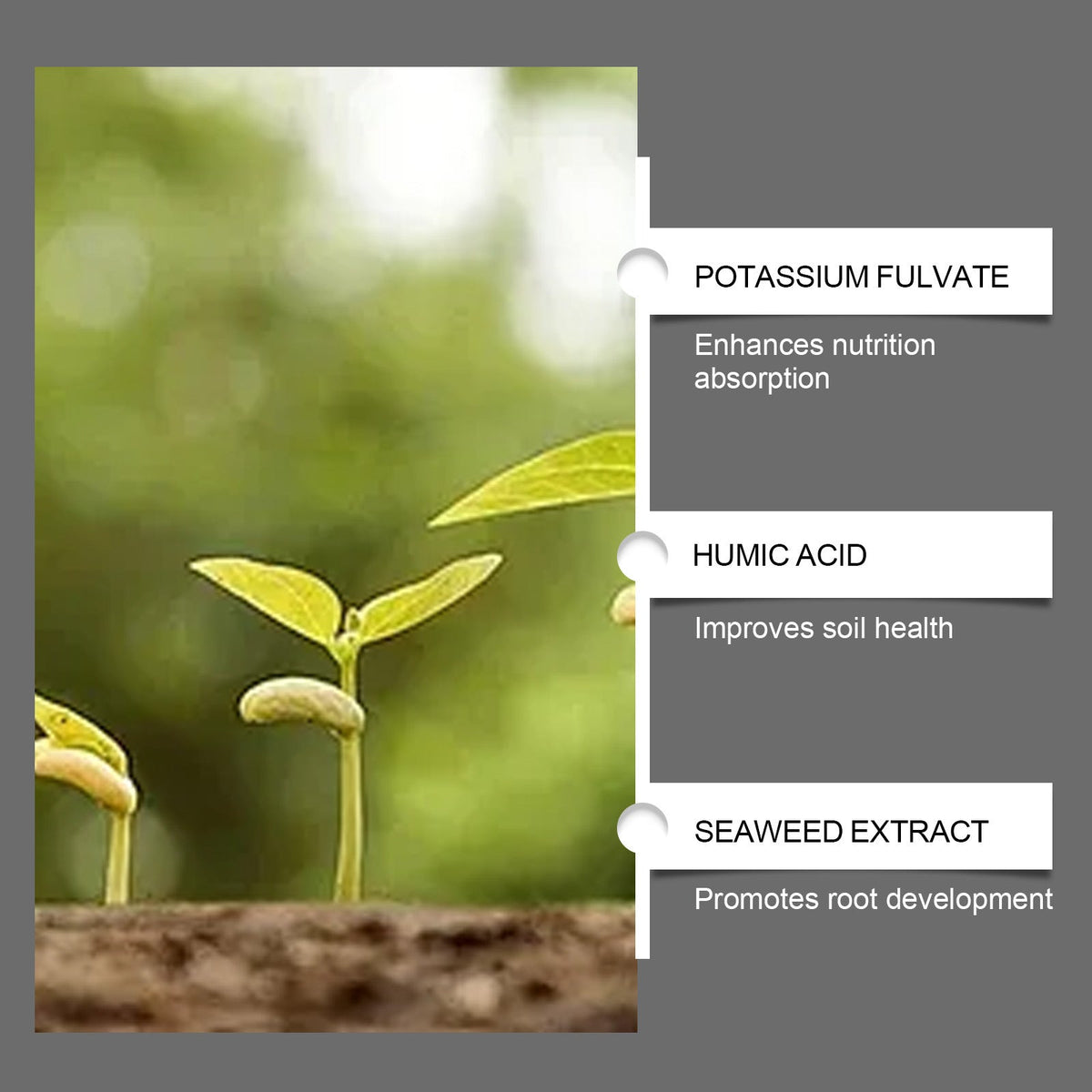 Humic Acid Soil Conditioner Concentrated Formula For Garden Lawn🌿