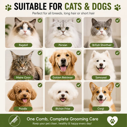 Pet Face Comb Set for Cats & Dogs, Fine Tooth Stainless Steel Grooming Comb🐱🪮
